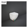 RAK Ceramics WC Rak Des Filo Muro